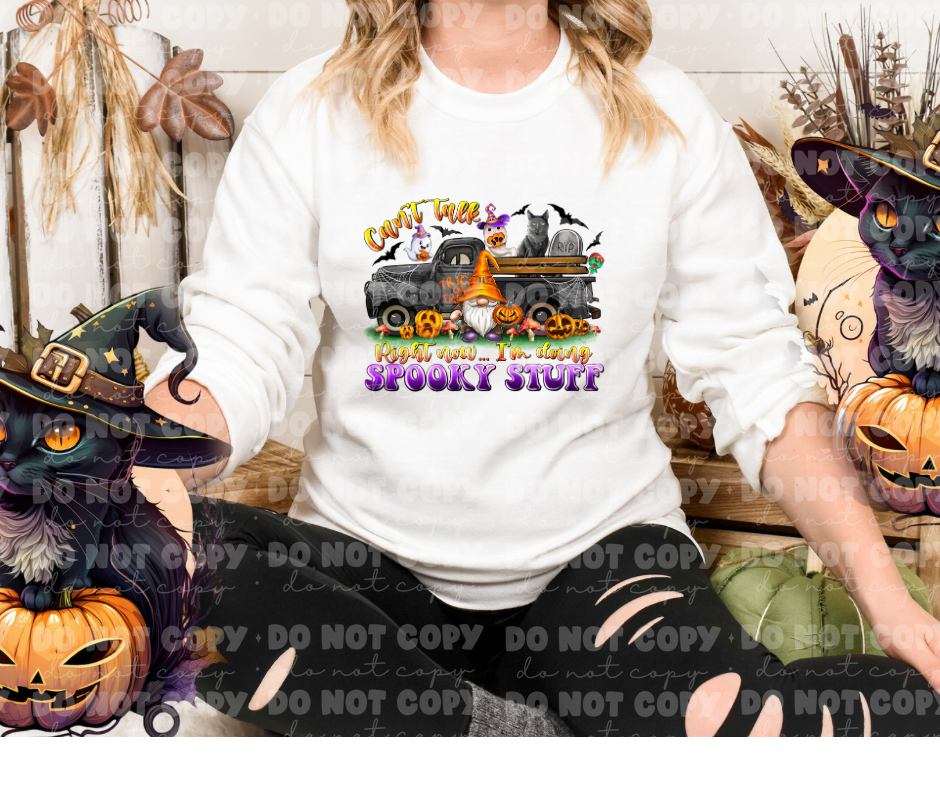 Can't talk right now I'm doing spooky stuff *DREAM TRANSFER* DTF