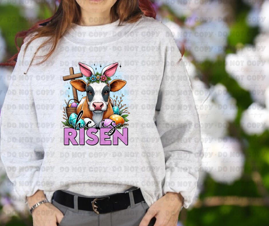 3671 He Is Risen DREAM TRANSFER* DTF