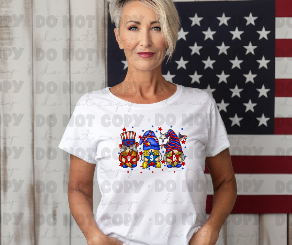 4102 American Gnome *DREAM TRANSFER* DTF