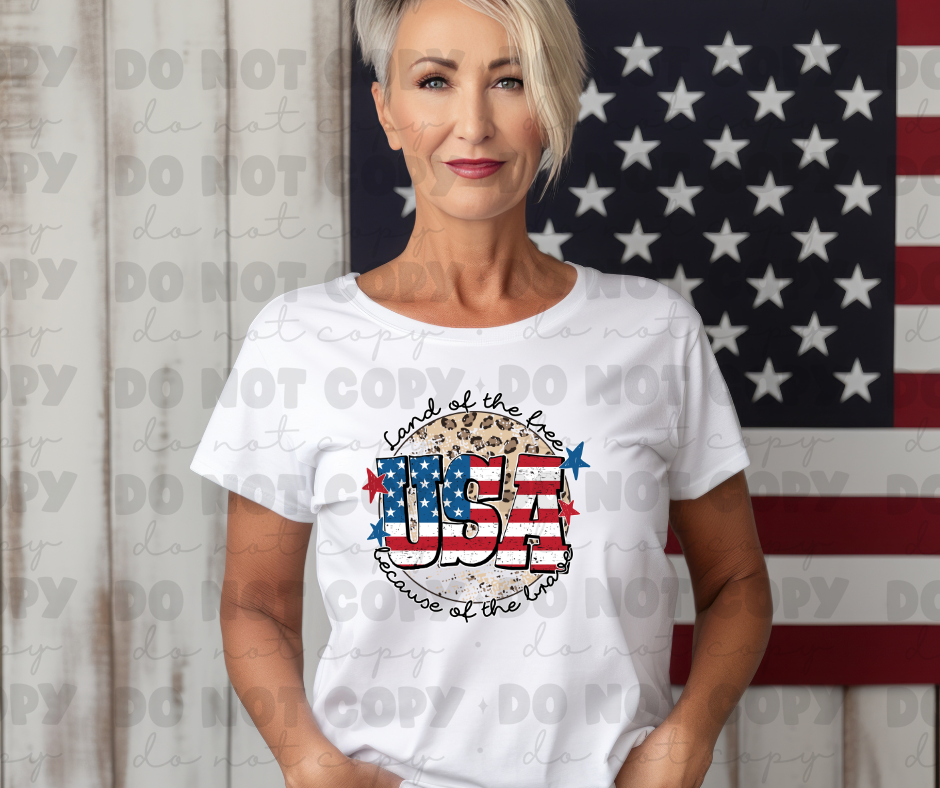 4117 Land of Free *DREAM TRANSFER* DTF