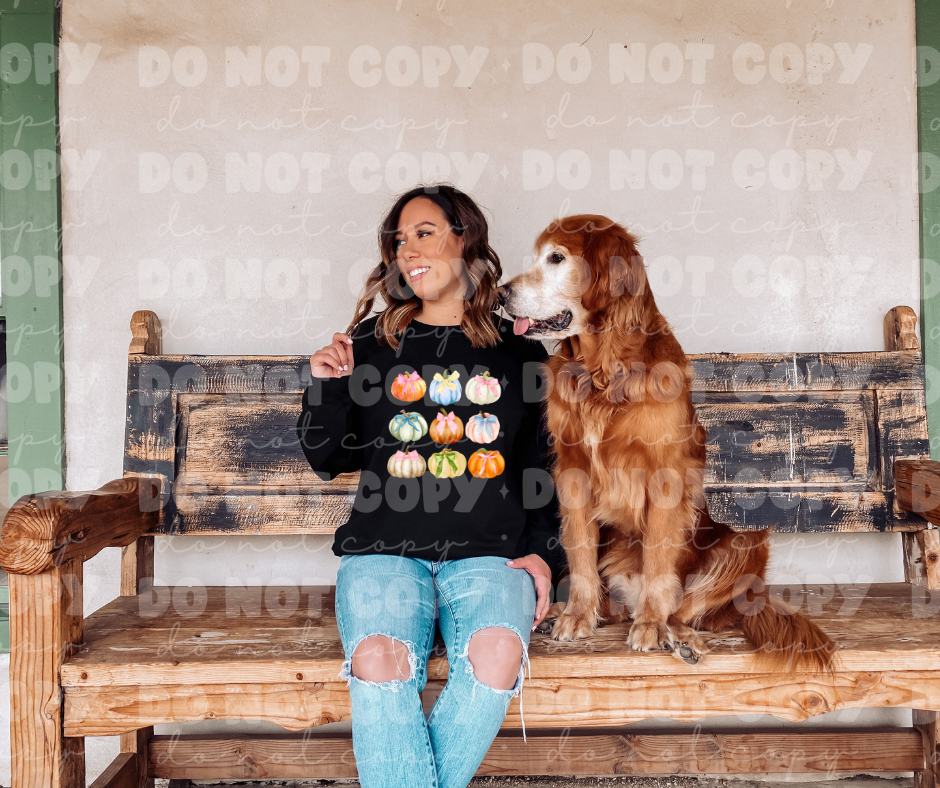 4209 Pastel Pumpkins *DREAM TRANSFER* DTF