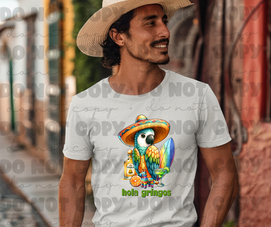 3736 Hola Gringos DREAM TRANSFER* DTF