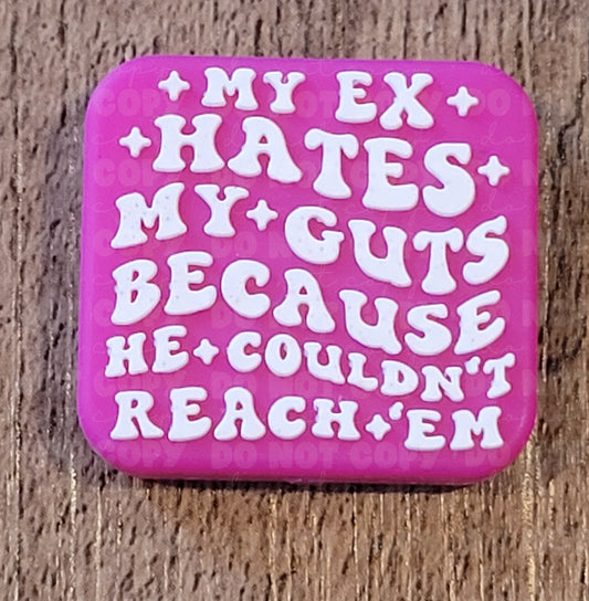 020FB My ex hates my guts pink Focal Bead