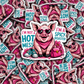 DS -2365- I'm not a hot mess I'm a spicy disater Die Cut Sticker
