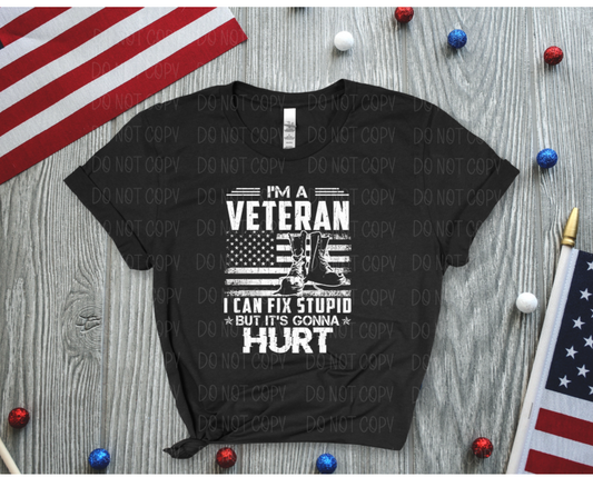 I'm a Veteran I can fix Stupid But It's Gonna Hurt *DREAM TRANSFER* DTF