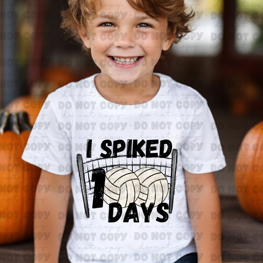 3308 I spiked 100 days *DREAM TRANSFER* DTF