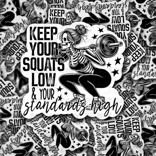 DC 1311 Keep your squats low and standards high - die cut sticker