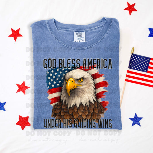 5993 - God bless America under his guiding wing *DTF Transfer