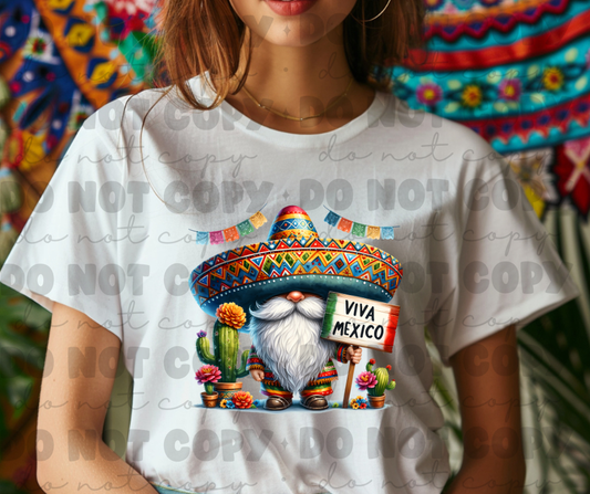 3748 cinco de mayo gnome  DREAM TRANSFER* DTF