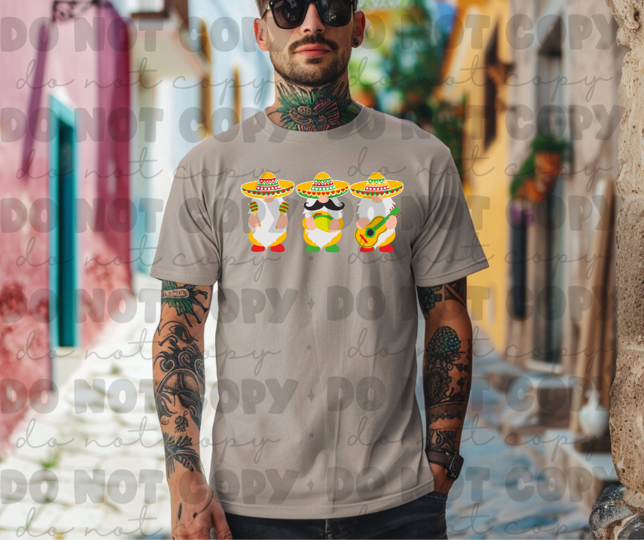 3754 Fiesta Gnomes DREAM TRANSFER* DTF