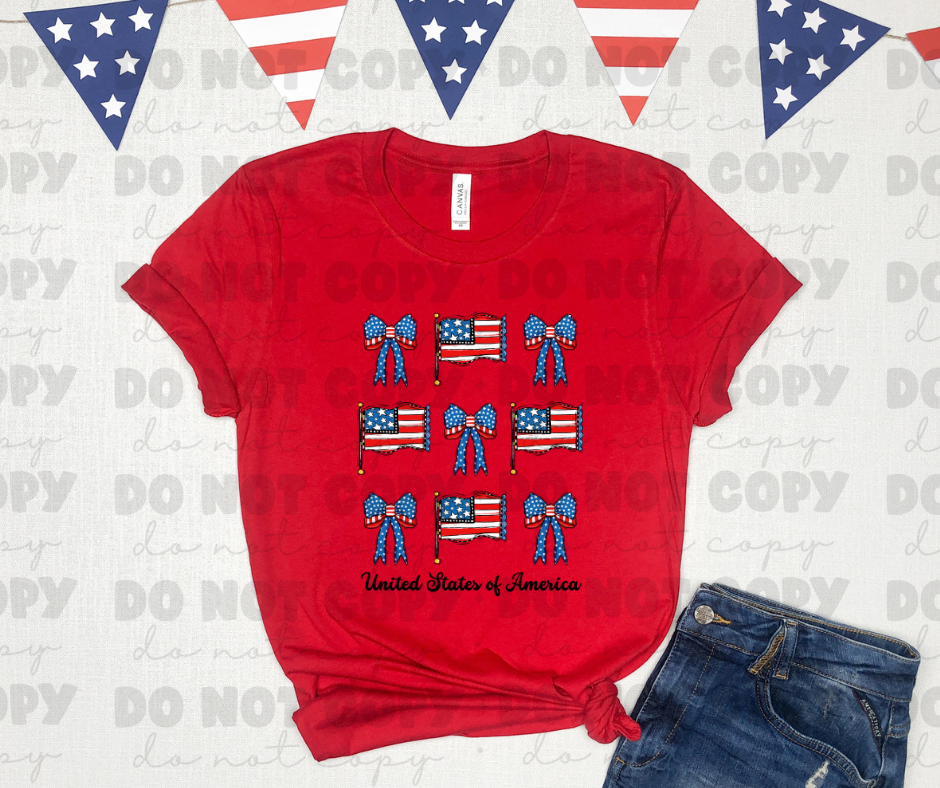4107 United States of America Coquette Bows *DREAM TRANSFER* DTF