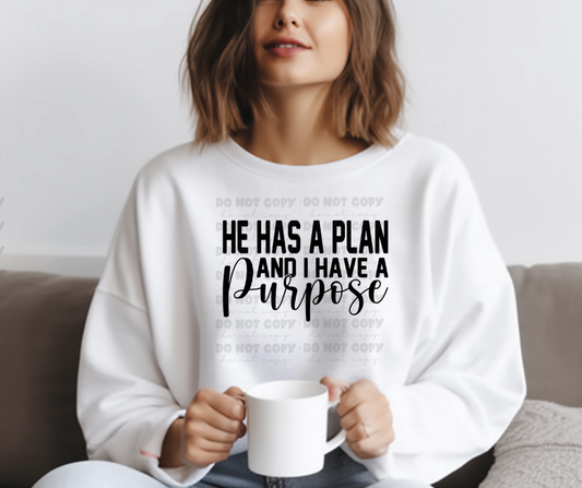 4878 - He has a plan and I have a purpose *DTF