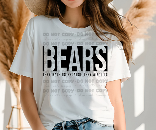6181 - Bears they hate us because they ain't us * DTF Transfer