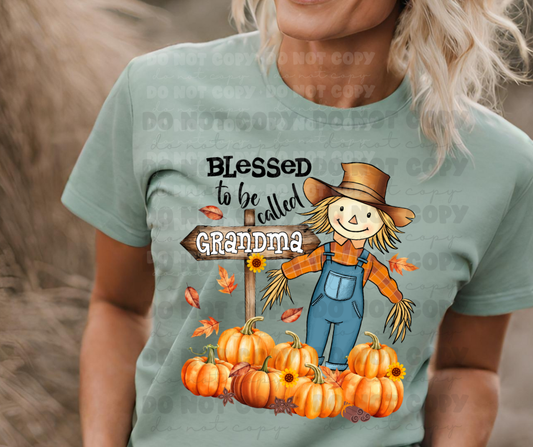 6384 - Blessed to be called Grandma * DTF Transfer