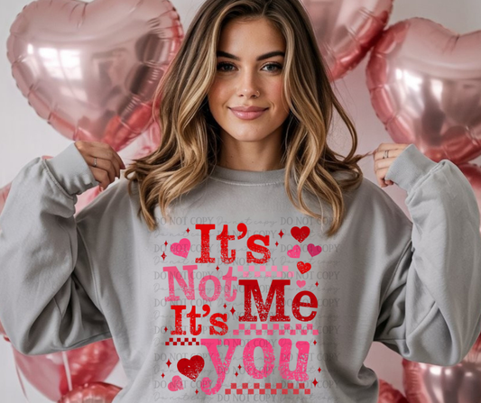 6634 - It's not me it's you *DTF Transfer