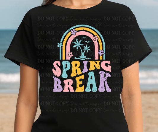 6759 - Spring break rainbow *DTF Transfer