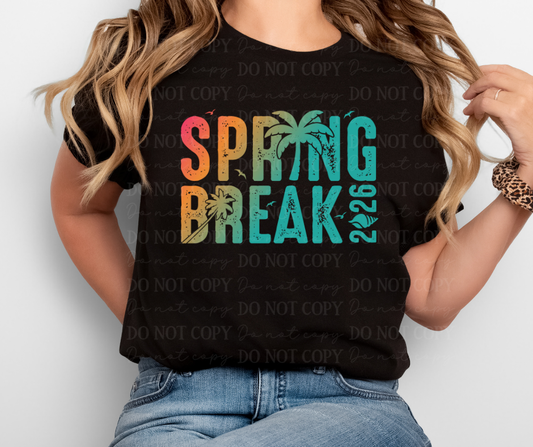 6765 - Spring break 2026 *DTF Transfer