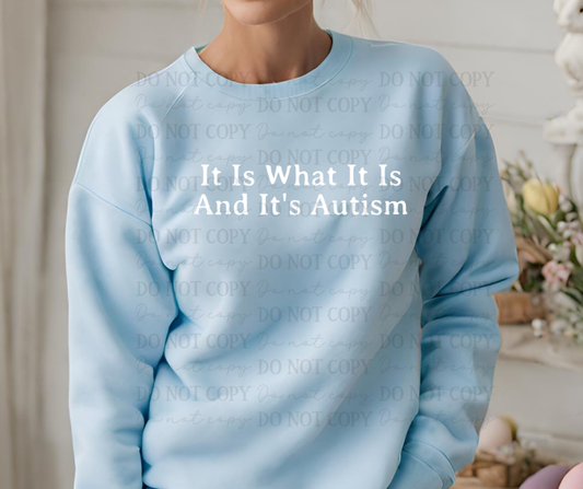 6773 - It is what it is and it's autism *DTF Transfer