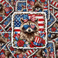 DS 2927 - American Racoon Cut sticker