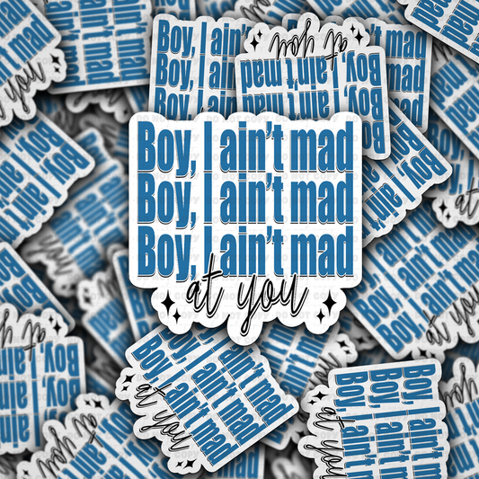 DC 1782 - Boy, I ain't mad at you Die Cut Sticker