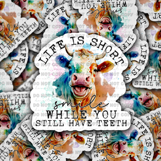 DC 818 life is short smile while you still have teeth Die cut sticker 3-5 Business Day TAT