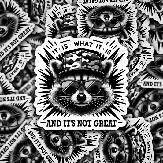 DC 834 It is what it is  Die cut sticker 3-5 Business Day TAT