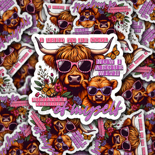 DC 898 I use to be cool now I argue with miniature versions of myself  Die cut sticker 3-5 Business Day TAT