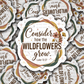 DS - 2552 Consider how the wildflowers grow Die Cut Sticker
