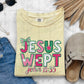 6568 - Jesus wept John 11:35 *DTF Transfer