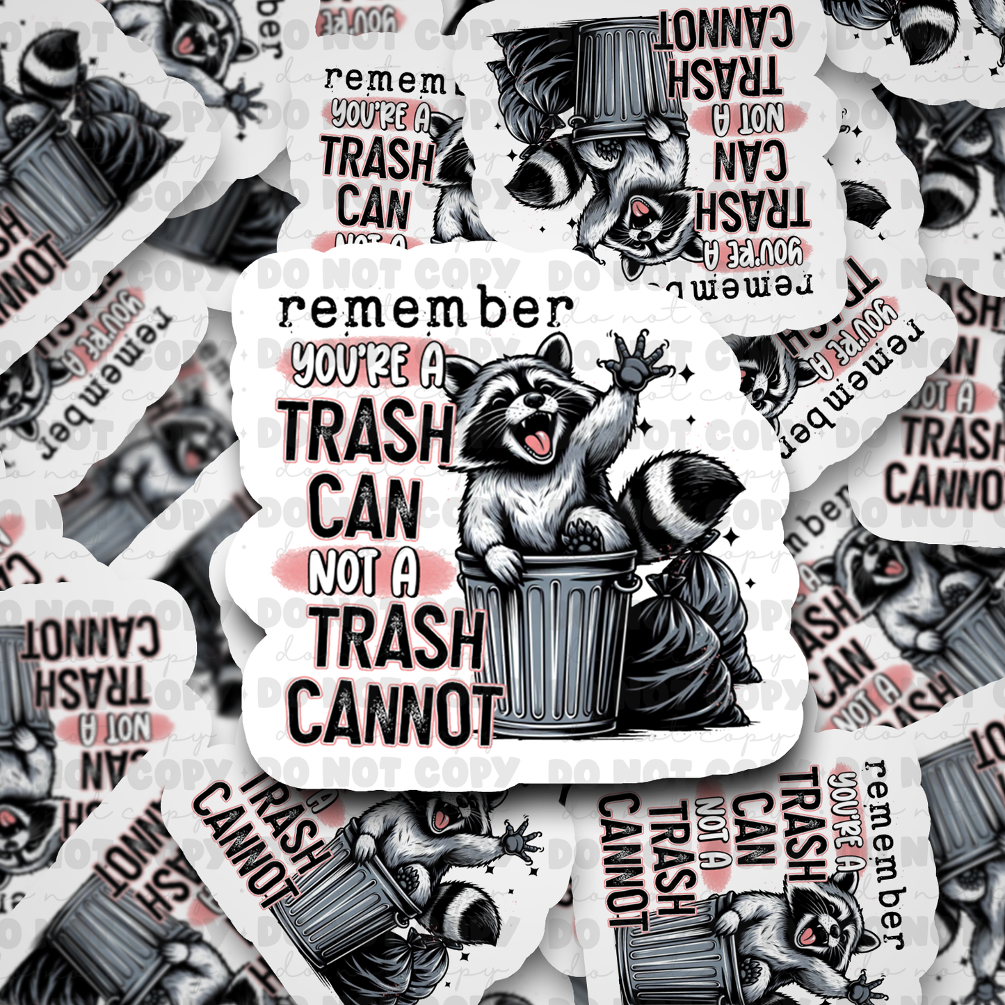 DC571 Remember you're a trash Die cut sticker 3-5 Business Day TAT