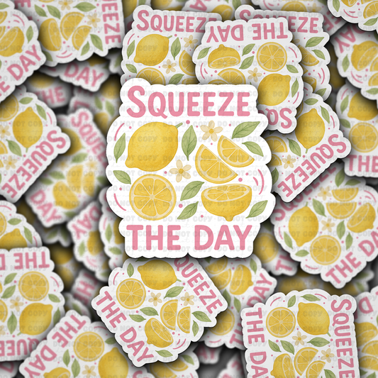 DC 1799 - Squeeze the day Die Cut Sticker
