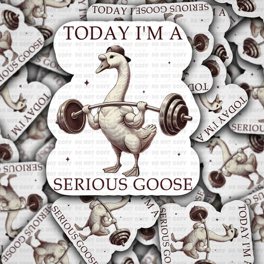 DC 1641 - Today I'm a serious goose Die Cut Sticker