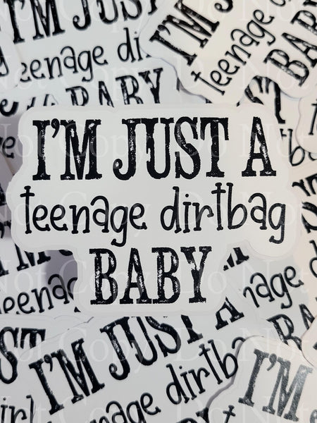 I'm just a teenage dirt bag baby dirtbag Die cut sticker 3-5 Business Day TAT.