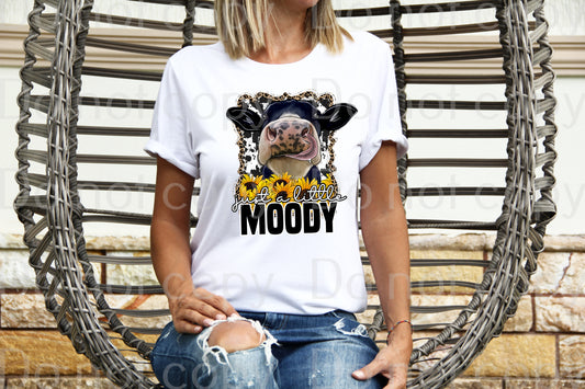 Just a little moody *DREAM TRANSFER* DTF