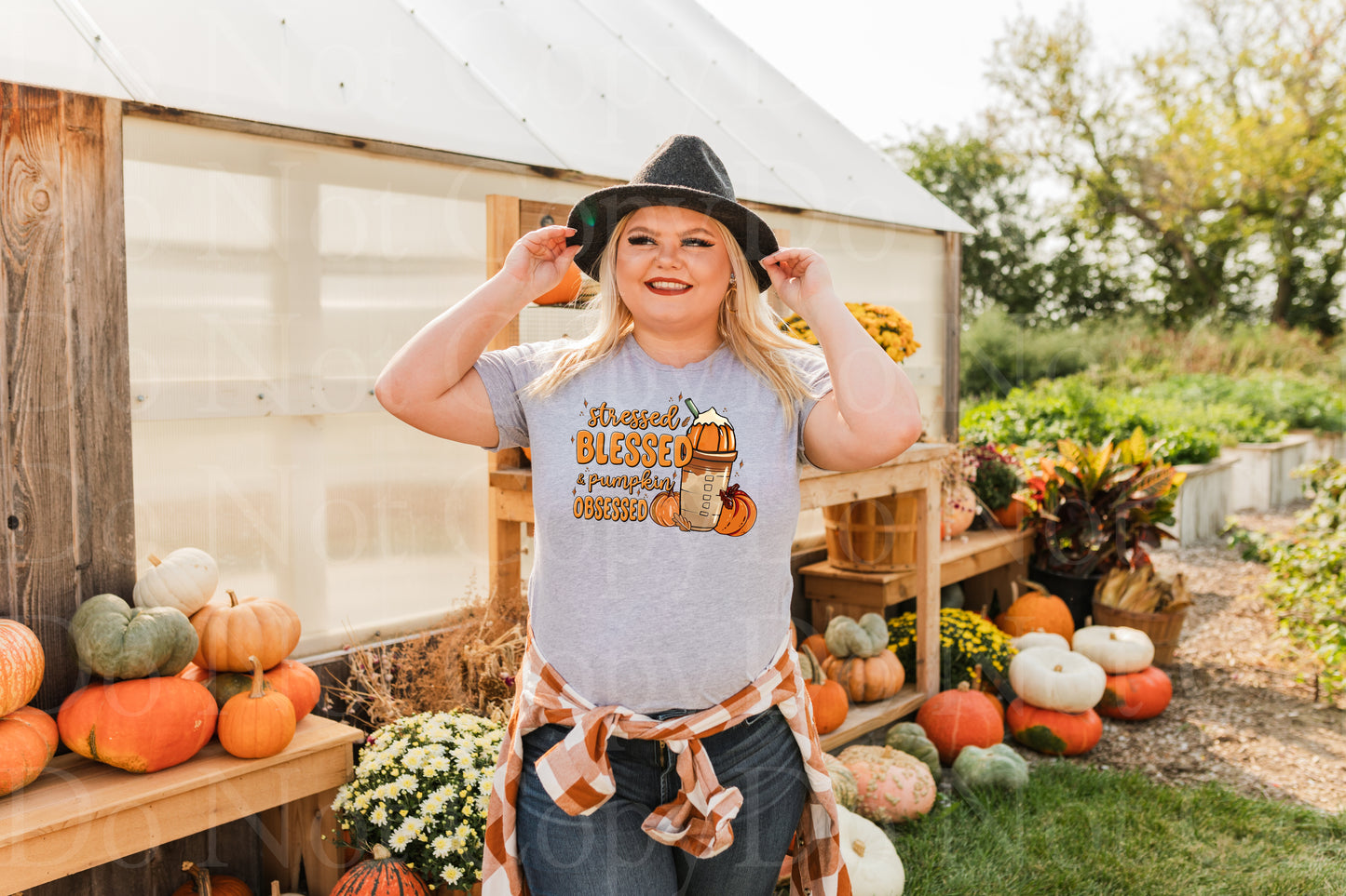 Stressed blessed and pumpkin obsessed *DREAM TRANSFER* DTF